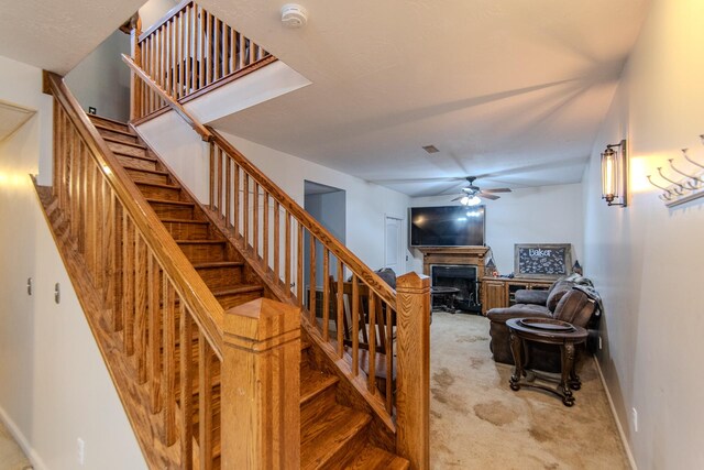 731 Barren Springs Rd, Hollow Rock, TN 38342 - photo 21
