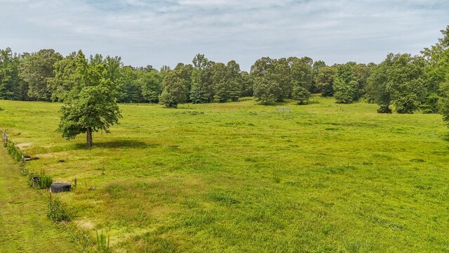 731 Barren Springs Rd, Hollow Rock, TN 38342 - photo 40