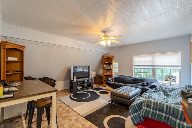 731 Barren Springs Rd, Hollow Rock, TN 38342 - photo 35