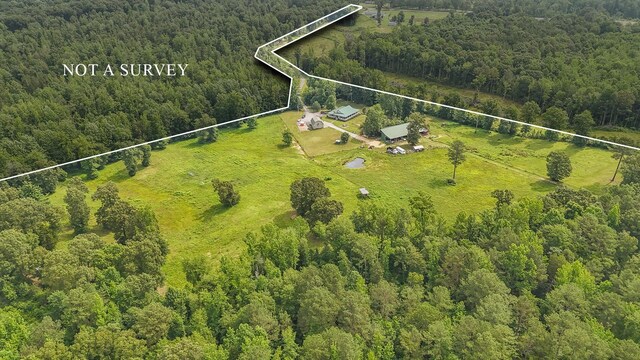 731 Barren Springs Rd, Hollow Rock, TN 38342 - photo 47