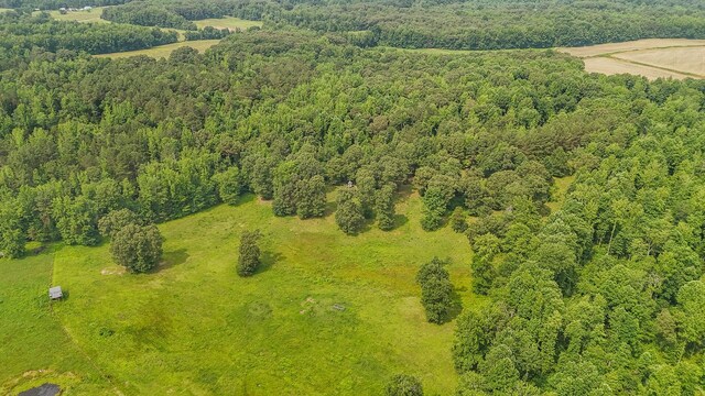 731 Barren Springs Rd, Hollow Rock, TN 38342 - photo 46