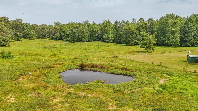 731 Barren Springs Rd, Hollow Rock, TN 38342 - photo 39