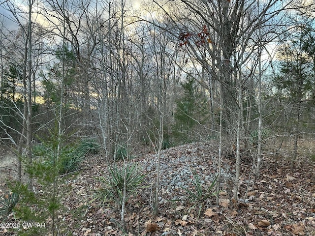 0 Depriest Sawmill Rd, Linden, TN 37096