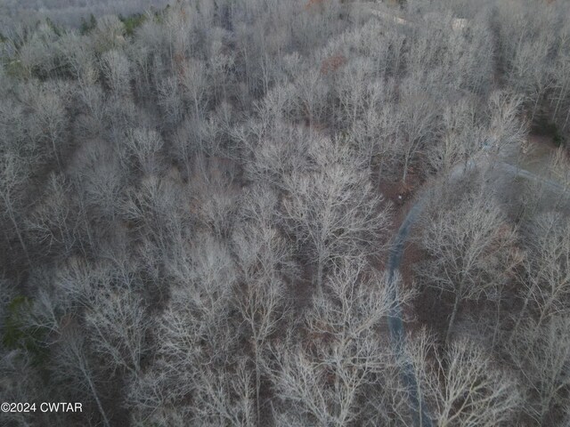 0 Depriest Sawmill Rd, Linden, TN 37096