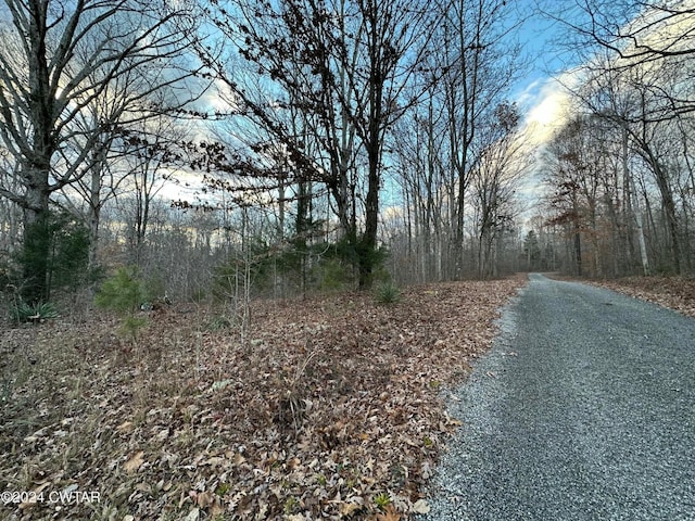 0 Depriest Sawmill Rd, Linden, TN 37096