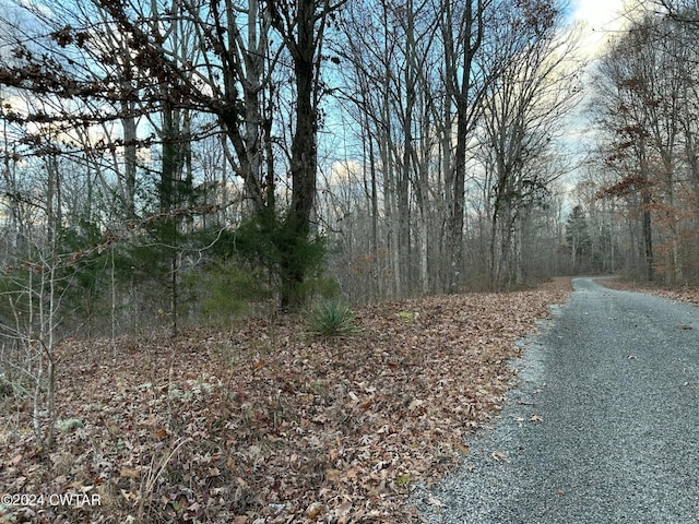 0 Depriest Sawmill Rd, Linden, TN 37096