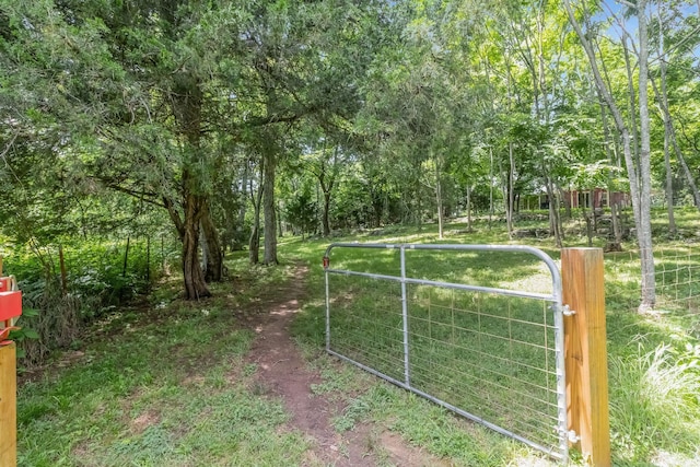8161 Rocky Fork Rd, Smyrna, TN 37167 - photo 54