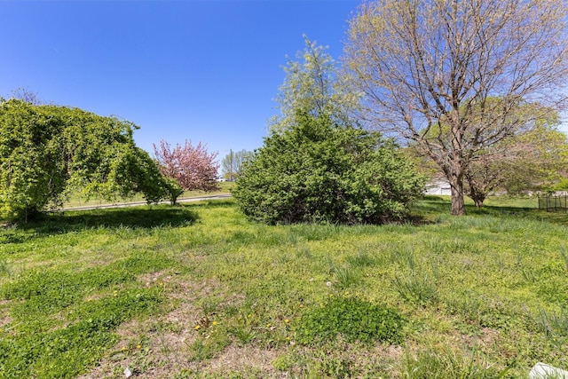 1808 Riverside Rd, Old Hickory, TN 37138 - view of yard