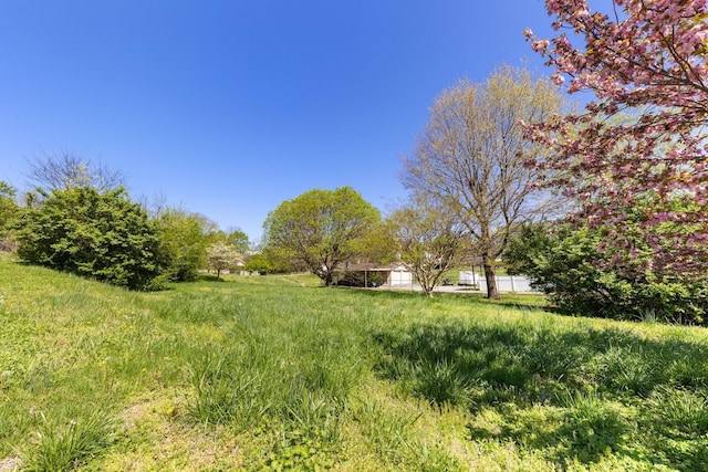 1808 Riverside Rd, Old Hickory, TN 37138 - view of yard