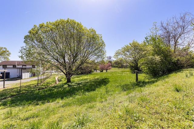 1808 Riverside Rd, Old Hickory, TN 37138 - view of yard