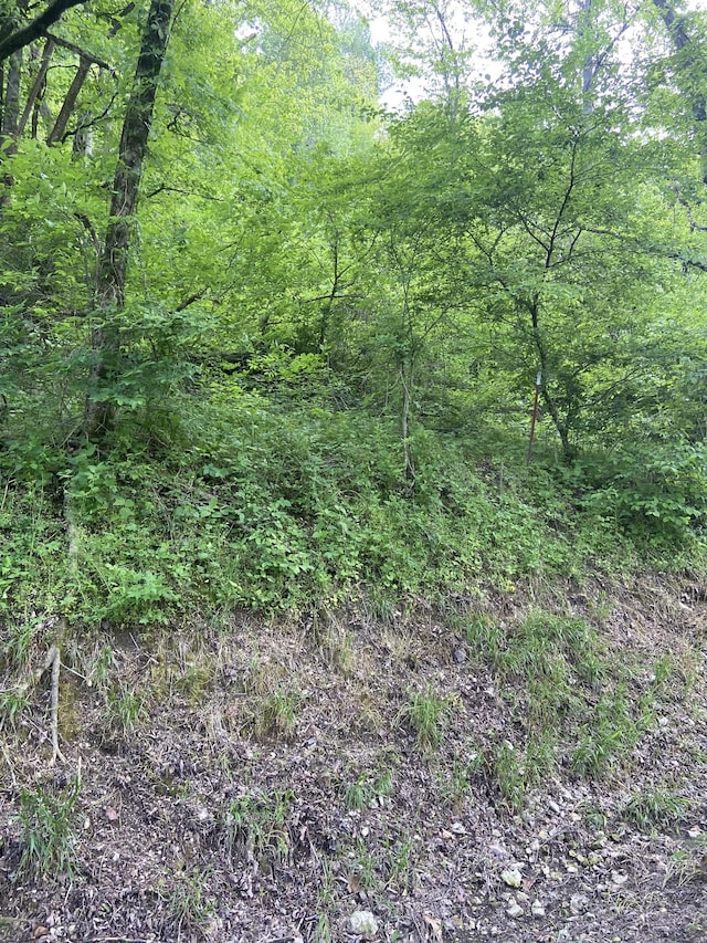 0 Possum Trott Rd, Shelbyville, TN 37160 - photo 3