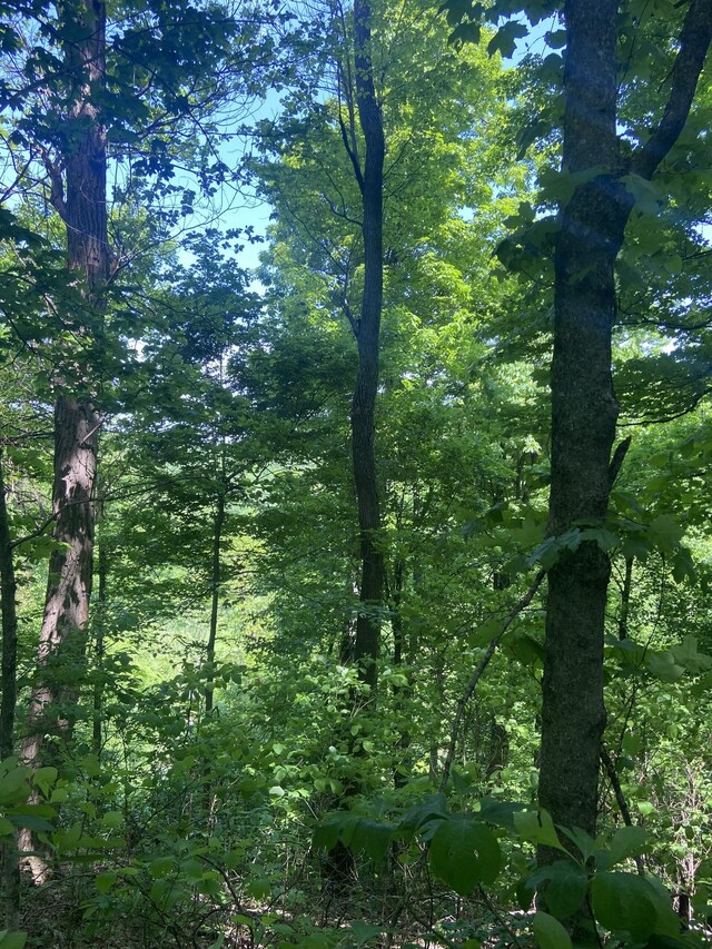 0 Possum Trott Rd, Shelbyville, TN 37160 - photo 7