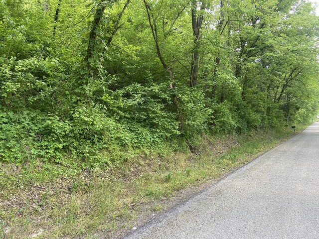 0 Possum Trott Rd, Shelbyville, TN 37160 - photo 4
