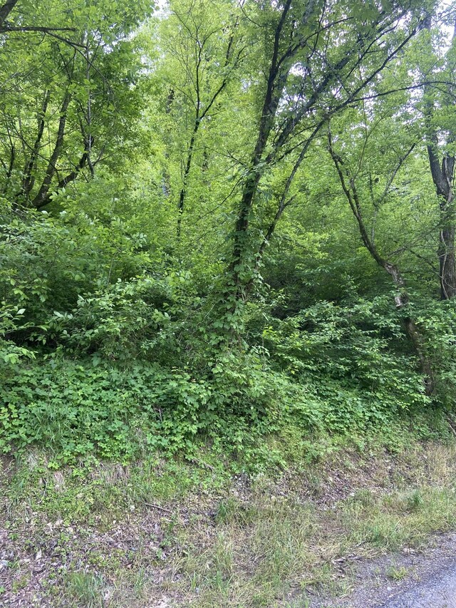 0 Possum Trott Rd, Shelbyville, TN 37160 - photo 5