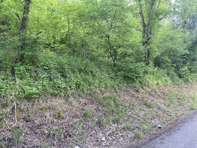 0 Possum Trott Rd, Shelbyville, TN 37160 - photo 2