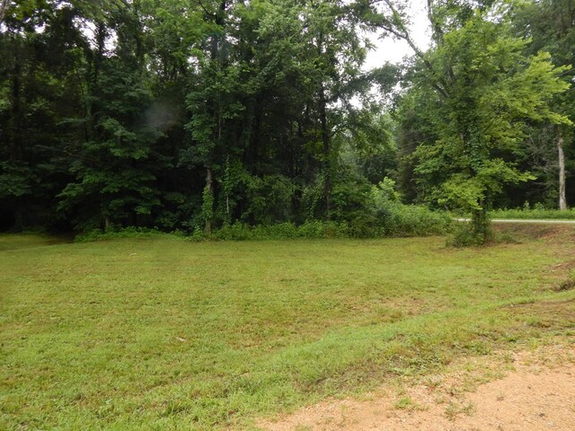321 Ian Dr, Clifton, TN 38425