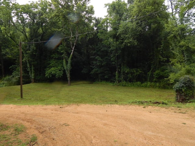 321 Ian Dr, Clifton, TN 38425