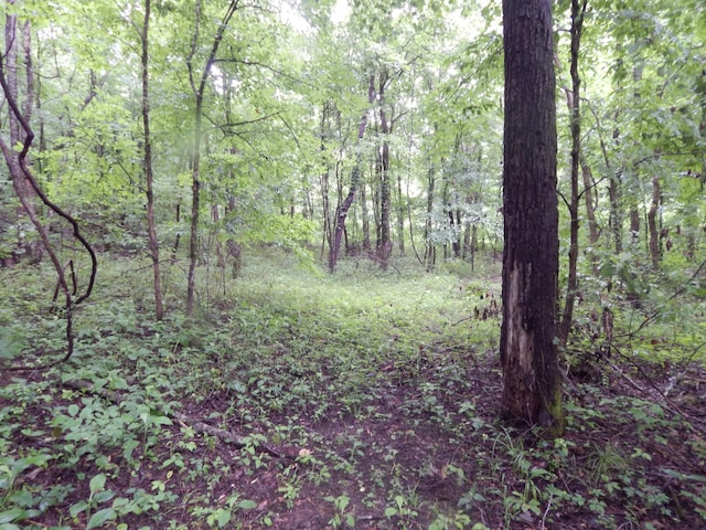 321 Ian Dr, Clifton, TN 38425