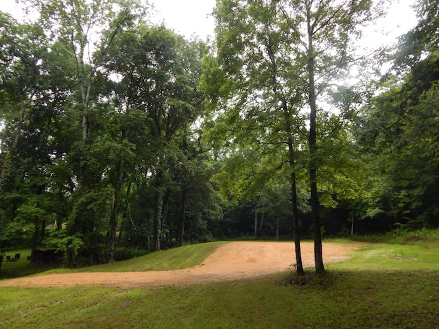 321 Ian Dr, Clifton, TN 38425