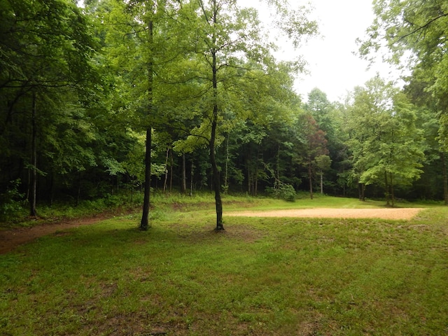 321 Ian Dr, Clifton, TN 38425
