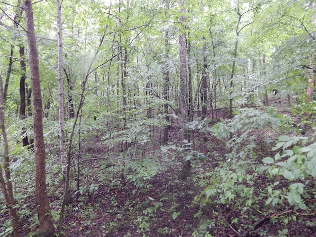 321 Ian Dr, Clifton, TN 38425