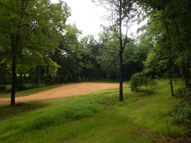321 Ian Dr, Clifton, TN 38425