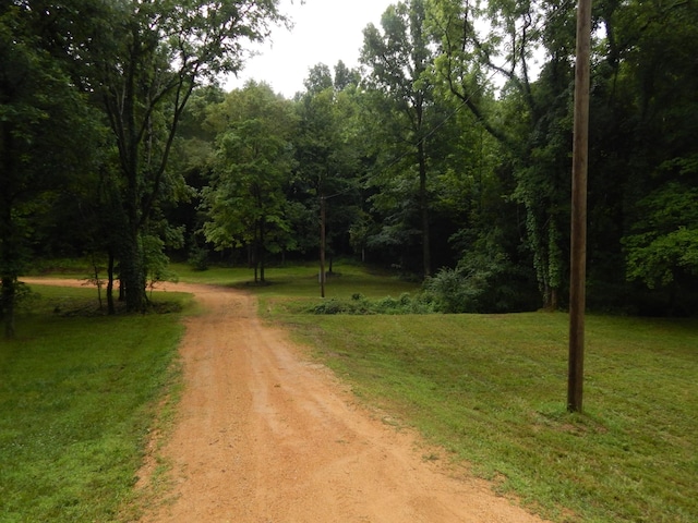 321 Ian Dr, Clifton, TN 38425