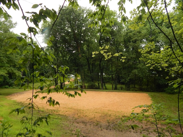 321 Ian Dr, Clifton, TN 38425