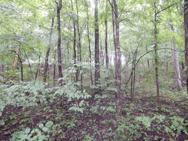 321 Ian Dr, Clifton, TN 38425