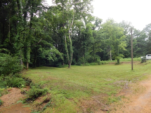 321 Ian Dr, Clifton, TN 38425