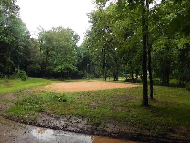 321 Ian Dr, Clifton, TN 38425