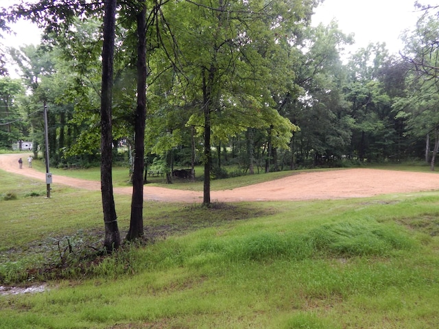 321 Ian Dr, Clifton, TN 38425