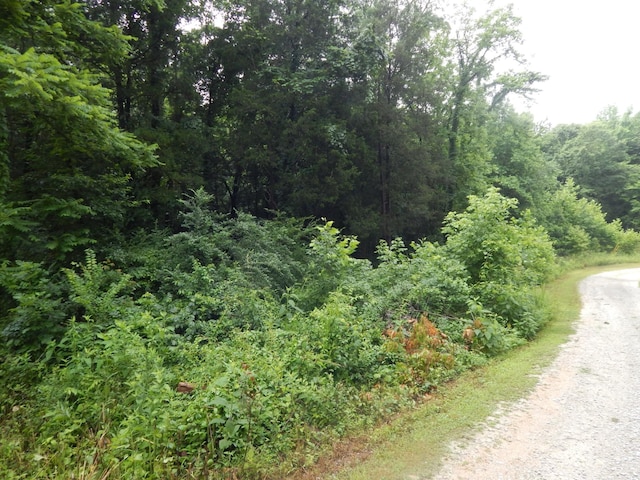 321 Ian Dr, Clifton, TN 38425