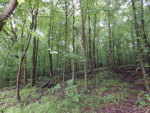 321 Ian Dr, Clifton, TN 38425