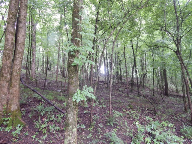 321 Ian Dr, Clifton, TN 38425