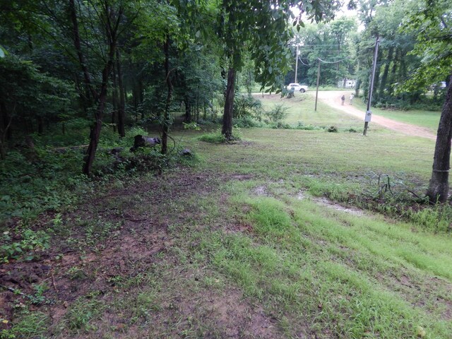 321 Ian Dr, Clifton, TN 38425