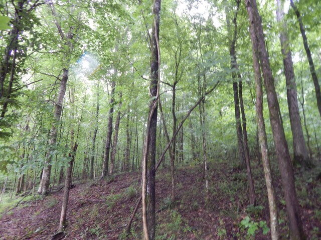 321 Ian Dr, Clifton, TN 38425