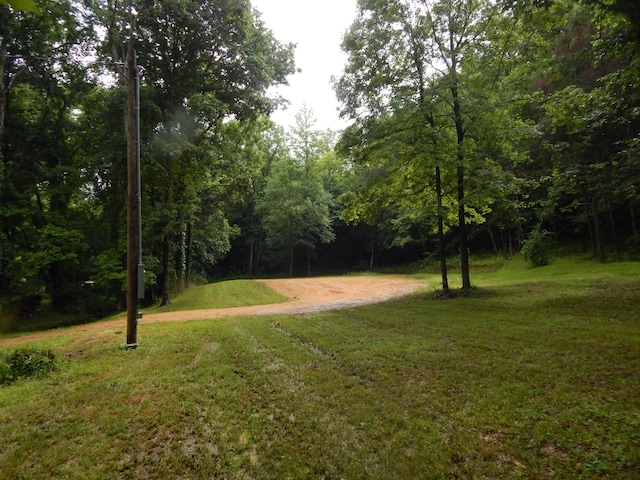 321 Ian Dr, Clifton, TN 38425