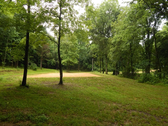 321 Ian Dr, Clifton, TN 38425