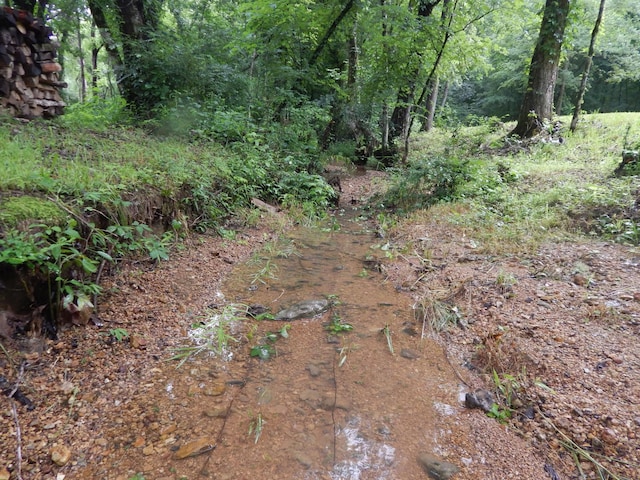321 Ian Dr, Clifton, TN 38425
