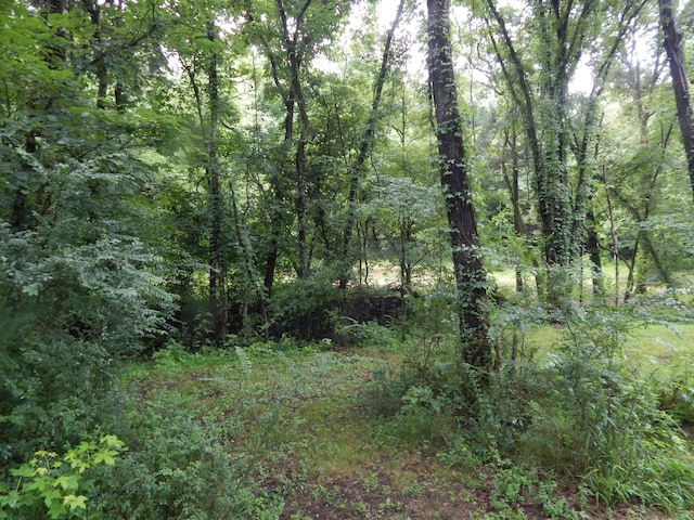 321 Ian Dr, Clifton, TN 38425