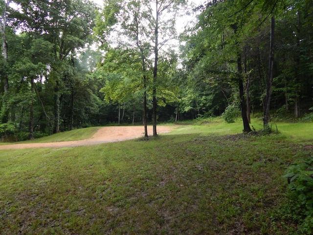 321 Ian Dr, Clifton, TN 38425