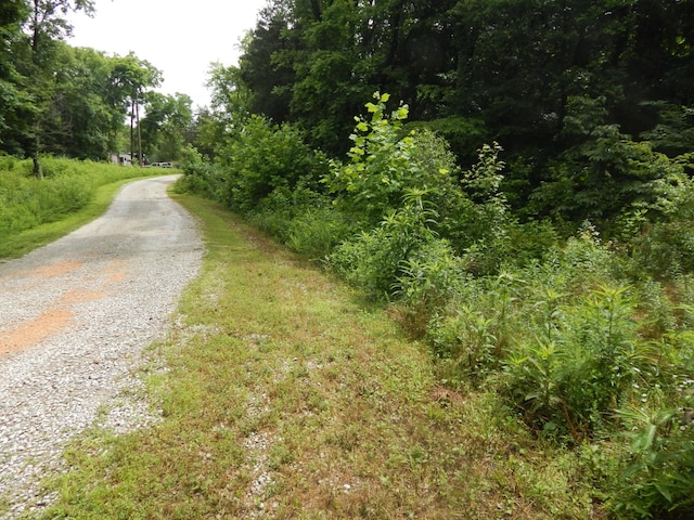 321 Ian Dr, Clifton, TN 38425