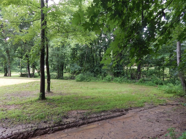321 Ian Dr, Clifton, TN 38425