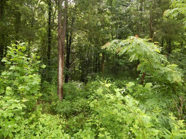 321 Ian Dr, Clifton, TN 38425