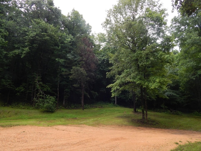 321 Ian Dr, Clifton, TN 38425