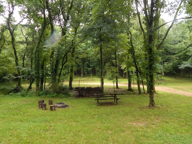 321 Ian Dr, Clifton, TN 38425