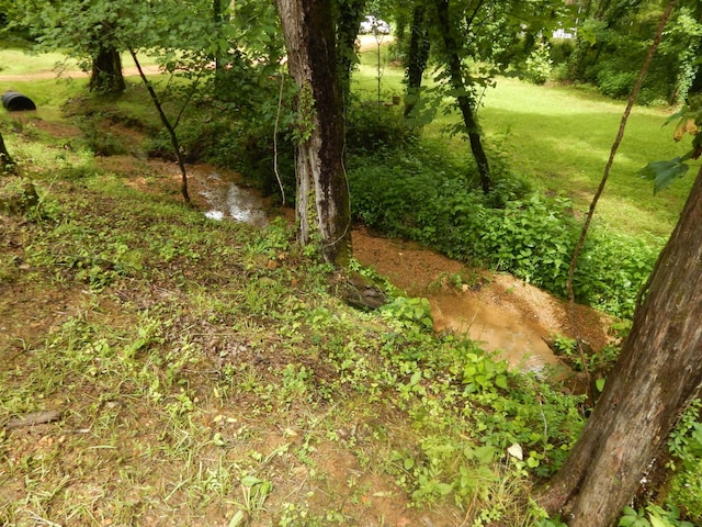 321 Ian Dr, Clifton, TN 38425