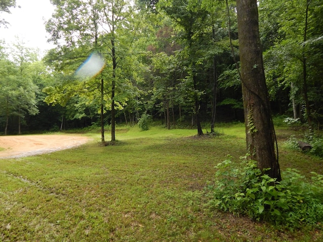 321 Ian Dr, Clifton, TN 38425