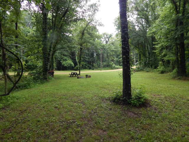 321 Ian Dr, Clifton, TN 38425